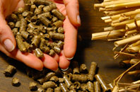 free Pen Lan biomass boiler quotes