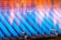 Pen Lan gas fired boilers